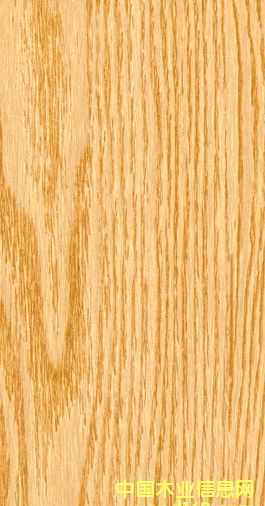 �G��ذ�-���ֹ��¹ŵذ��Ԕ����B