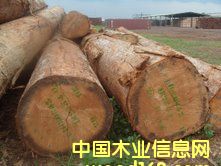 ����˹ԭľ��B+����Ԕ����B