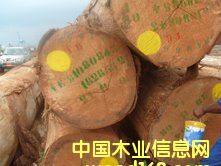 ����˹ԭľ��B+����Ԕ����B