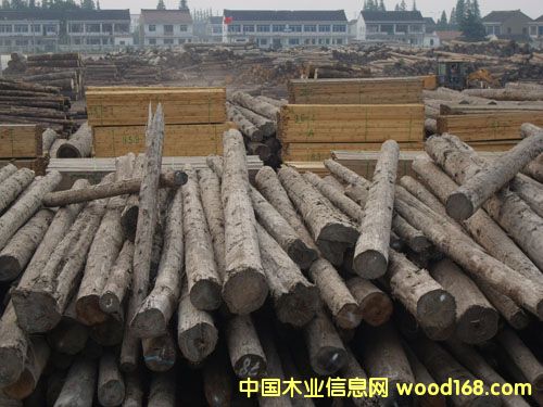 �c���鿴��ͨľ�����۷Ŵ�DƬ