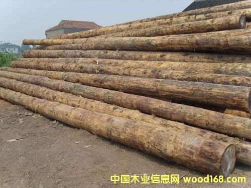 �c���鿴��ͨľ��ԭľ�Ŵ�DƬ