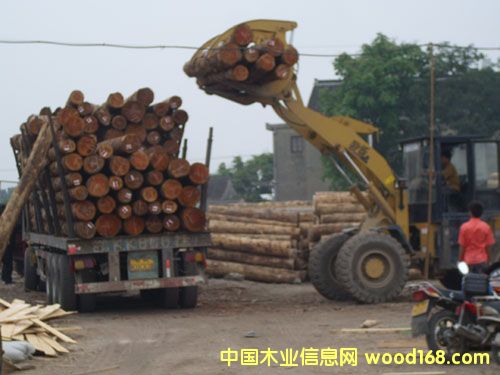 �c���鿴��ͨľ�����l�Ŵ�DƬ