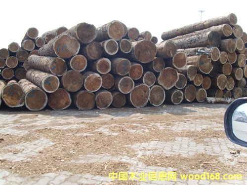 �c���鿴��ͨľ���Ј��Ŵ�DƬ