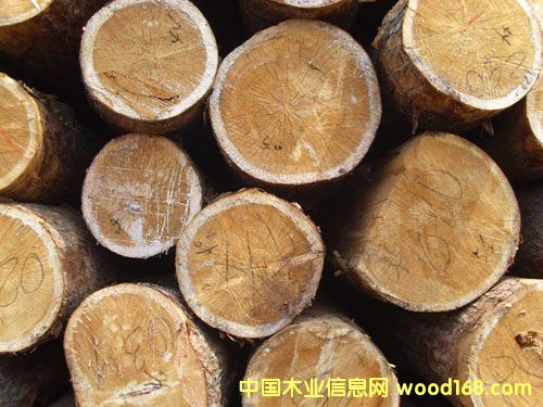 �c���鿴��ͨľ�ķŴ�DƬ