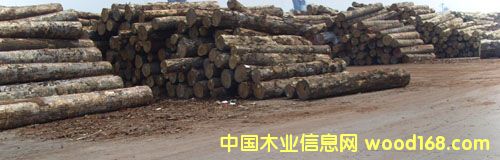 �c���鿴��ͨ����ľ�ķŴ�DƬ