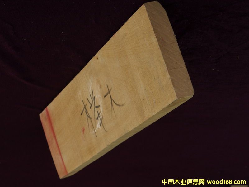 FSC䏲ĵ�Ԕ��(x��)��B