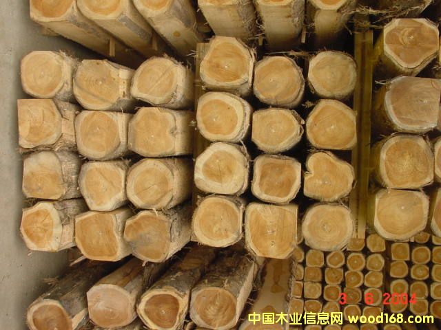 FSC��ľľ����Ԕ��(x��)��B