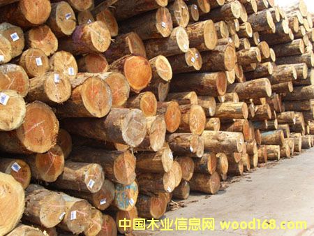 �c���鿴�ǽ�ľ�ĳ��ڷŴ�DƬ