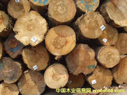 �c���鿴�ǽ��M��ľ�ķŴ�DƬ