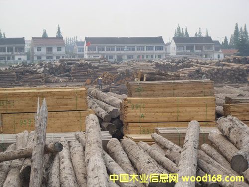�c���鿴�ǽ�ľ�����۷Ŵ�DƬ
