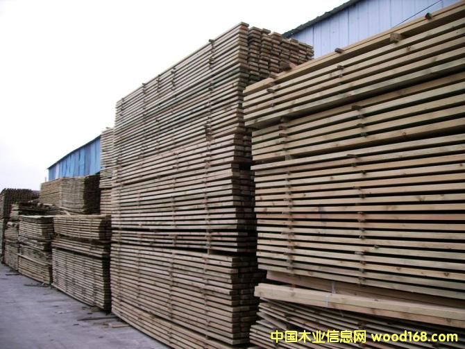 ����ľ��Ԕ����B