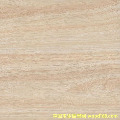 9606��Ԕ����B