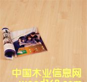 ����E1675 ���ô��ľ��Ԕ����B