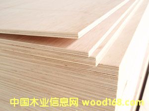 ���Ӱ��Ԕ����B