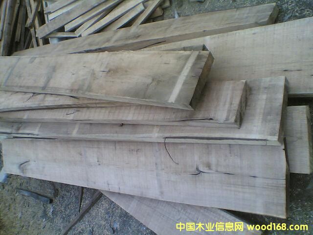 �c���鿴�ľ���3�Ŵ�DƬ