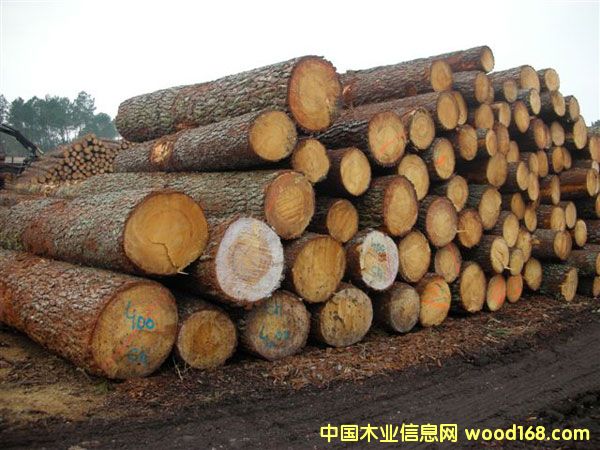 ���������ɵ�Ԕ����B