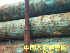 ݗ���ɵ�Ԕ��(x��)��B