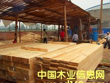 ���ɵ�Ԕ��(x��)��B