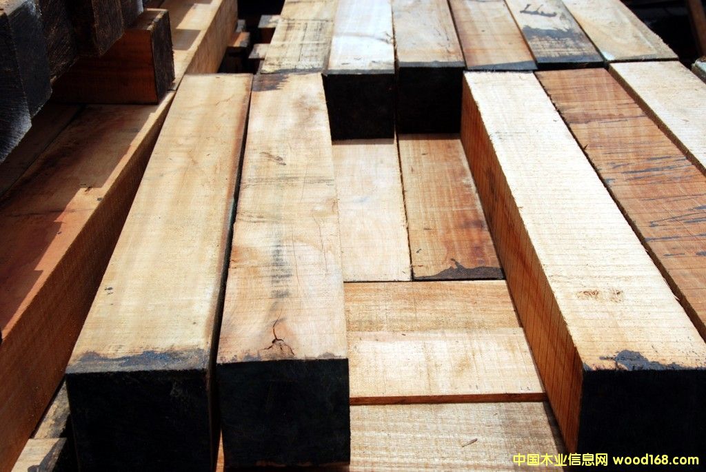 ����t���ĵ�Ԕ����B