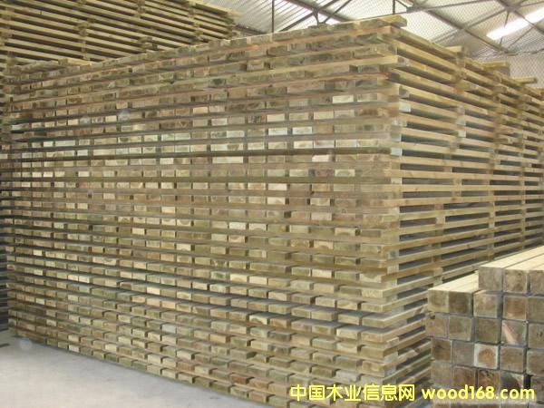 ľ��-��ľ��Ԕ����B