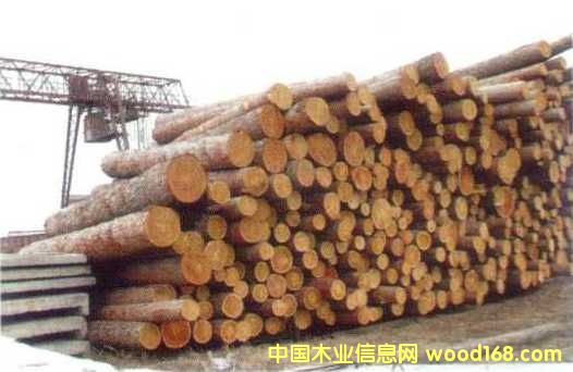 ľ��-ԭľ��Ԕ����B