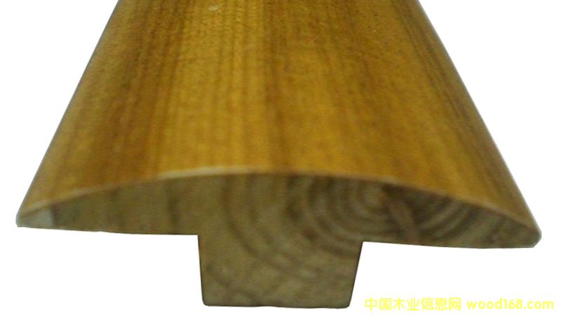 T�͗l��Ԕ����B