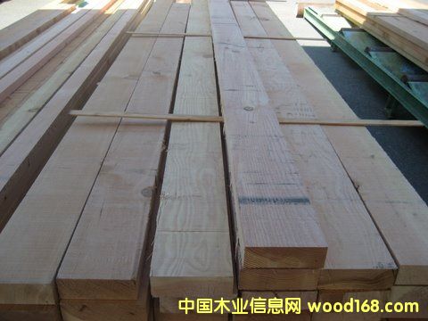 ����SPF��Ԕ����B