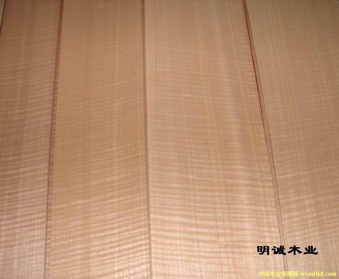 �tӰ��Ԕ����B