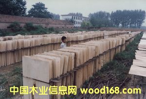 ��ľ����Ƥ��Ԕ����B