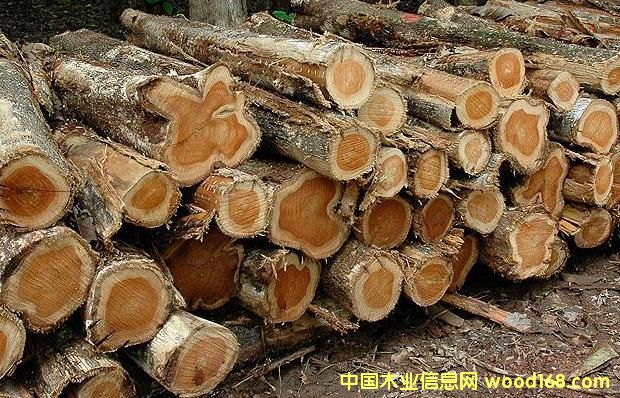 ��ľԭľ��Ԕ����B