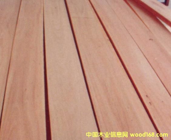 FSC��ľ��Ԕ����B