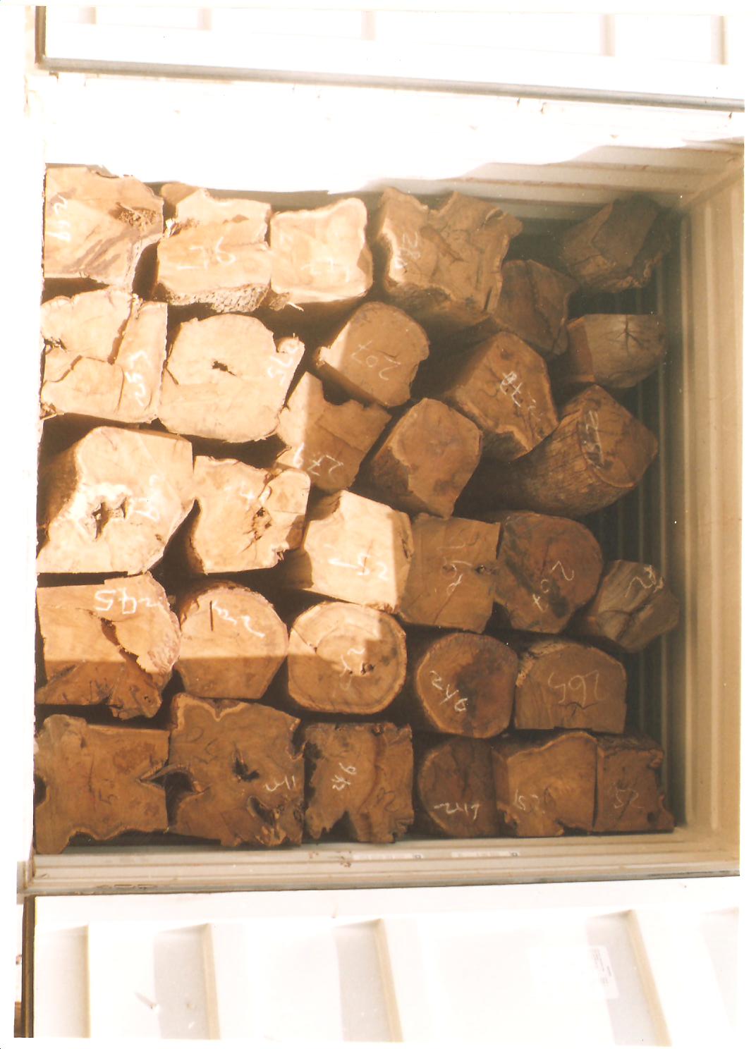 ���ǁ������Ԕ����B