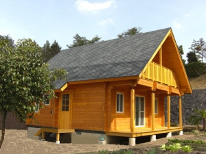 ���W����ľ�ݵ�Ԕ����B