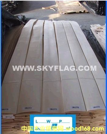 ľƤ���조ʮһ�����݃r