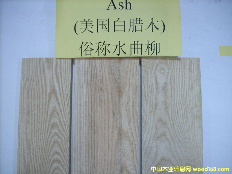 FSCˮ�������Ϟľ��ASH��