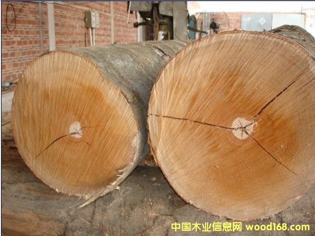 �W�ޙ�ľ��Ԕ����B