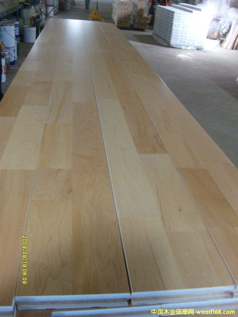 �w���ذ��Ԕ����B