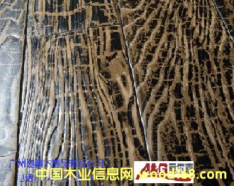 ���m�ųǵ�Ԕ����B