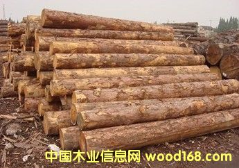 �������_˹�M�����~��