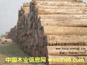 ��ľԭľ��Ԕ����B