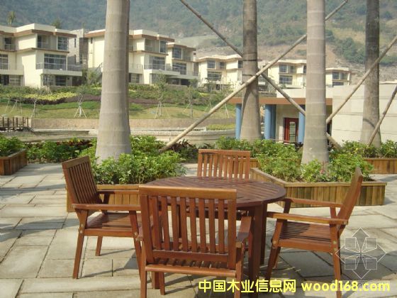 �c���鿴ľ�|���ηŴ�DƬ