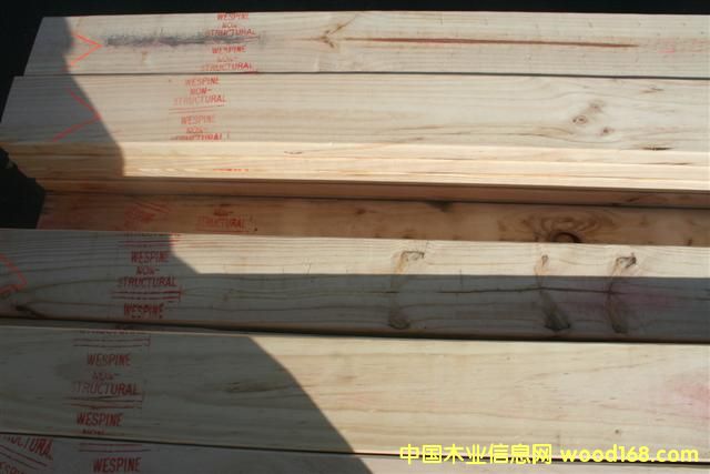 �̘I��ݗ���ɵ�Ԕ����B