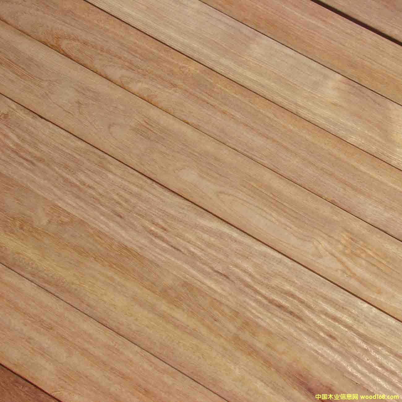 �𲻓Q�ذ�����