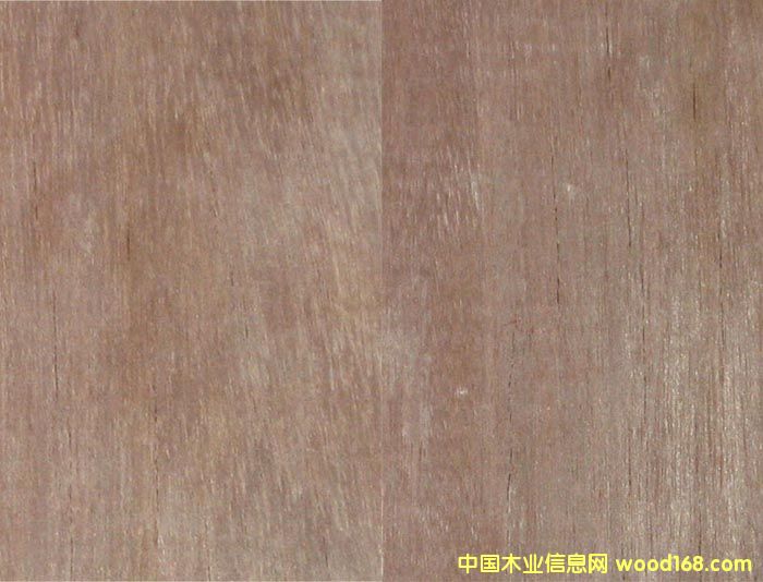 �t̴�ذ�����