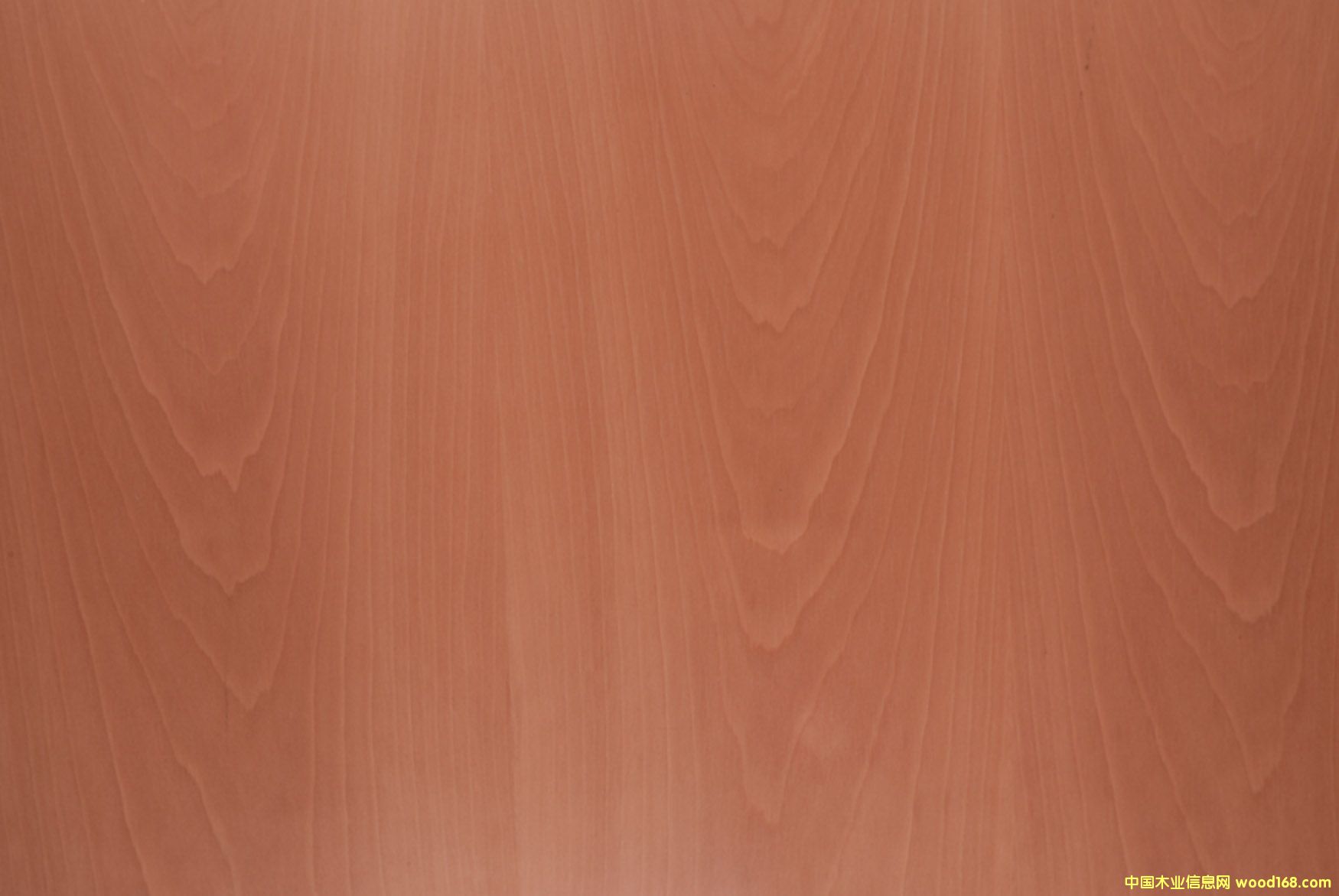 ��ʿ��ľ��Ԕ����B