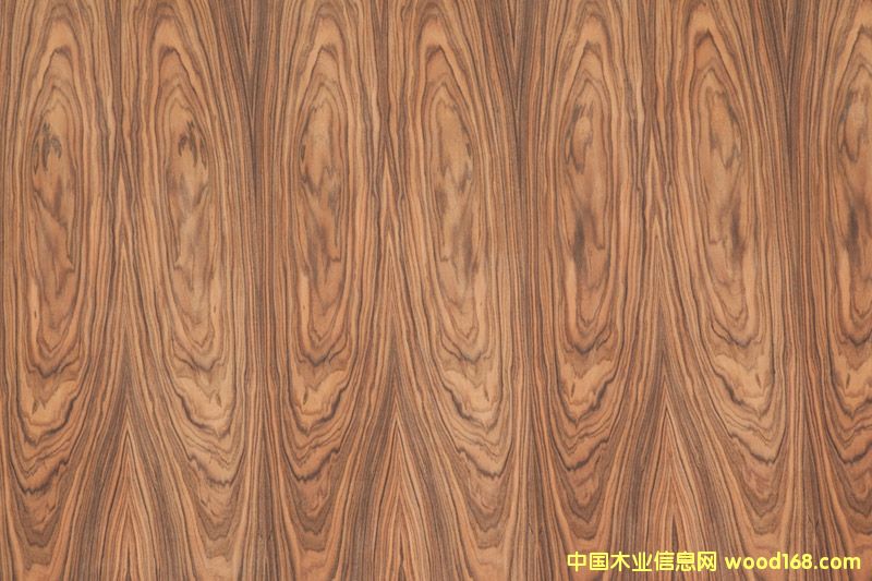 ɽ�y������֦