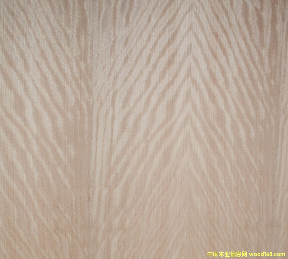 ��Ӱ��Ԕ����B