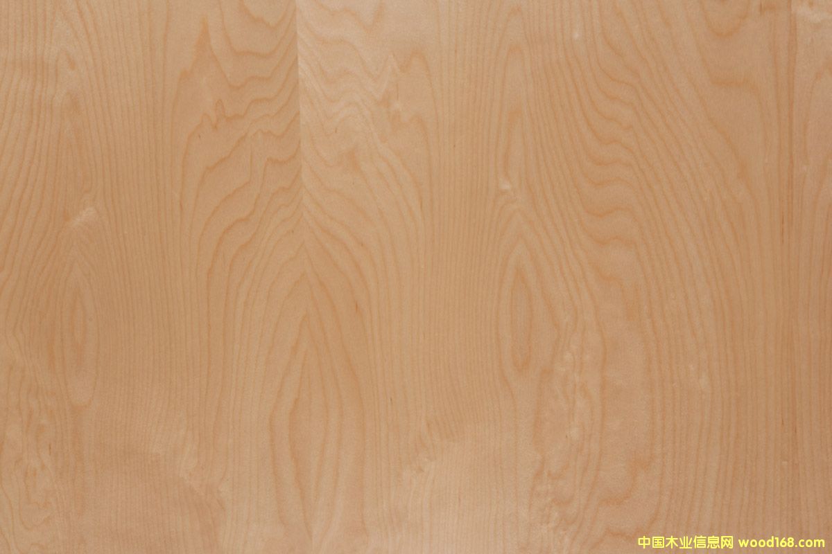 �ט��Ԕ����B