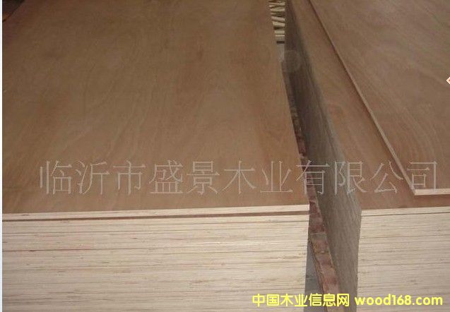 �U�P���z�ϰ��Ԕ����B