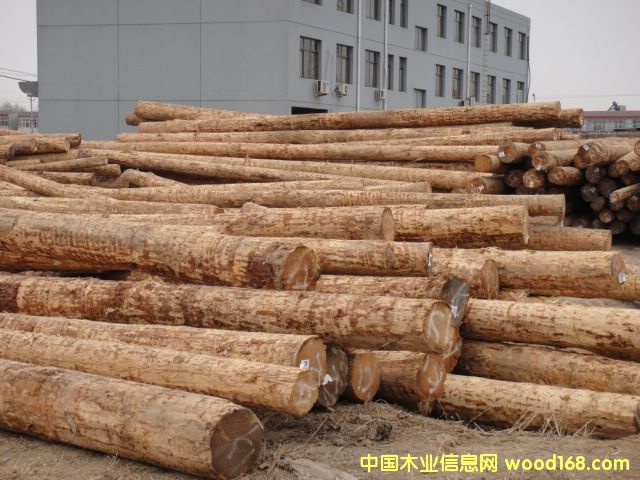 �c���鿴�Fɼԭľ�Ŵ�DƬ